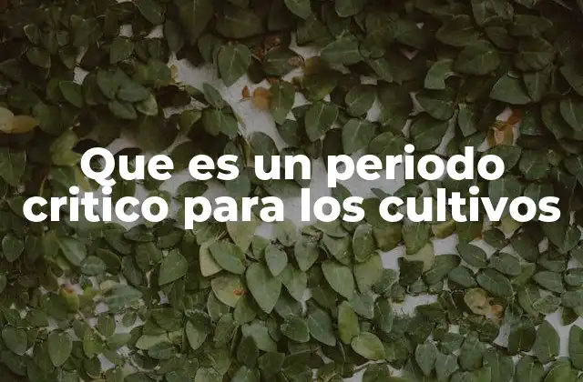 Que es un Periodo Critico para los Cultivos