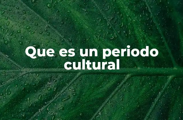 Que es un Periodo Cultural 2 Características que definen un periodo cultural