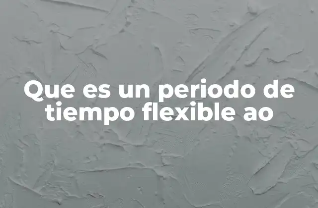 Que es un Periodo de Tiempo Flexible Ao