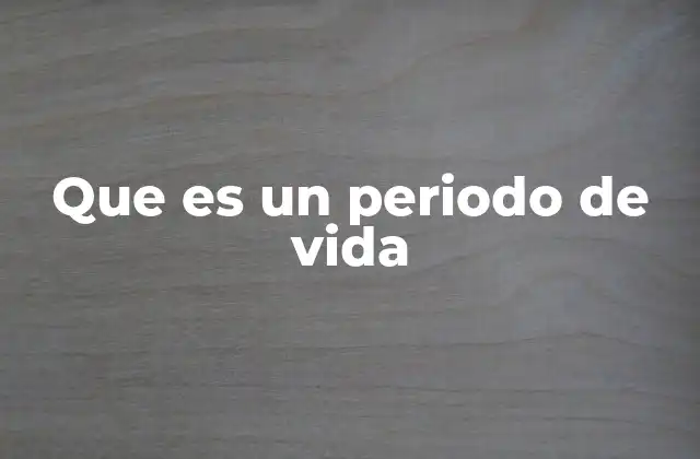 Que es un Periodo de Vida