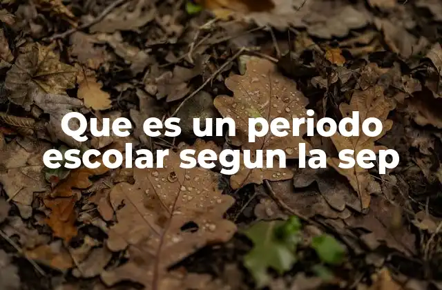 Que es un Periodo Escolar Segun la Sep