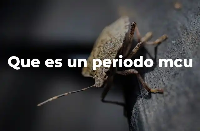 Que es un Periodo Mcu