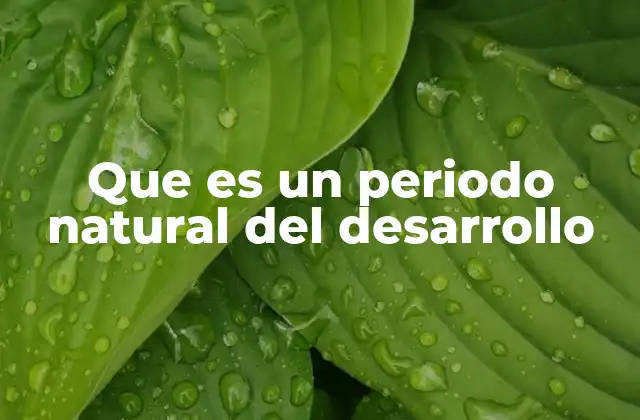 Que es un Periodo Natural Del Desarrollo