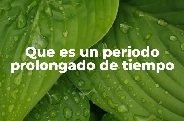 Que es un Periodo Prolongado de Tiempo