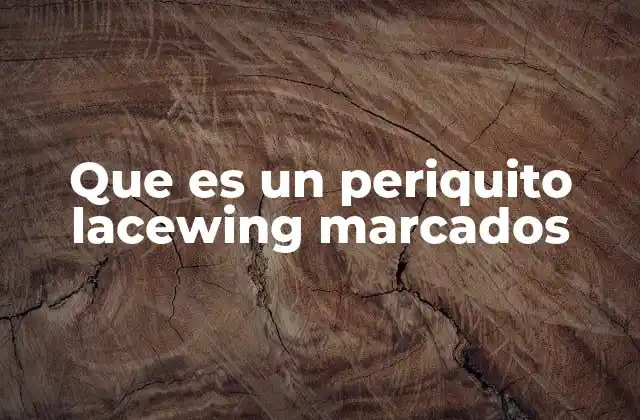 Que es un Periquito Lacewing Marcados