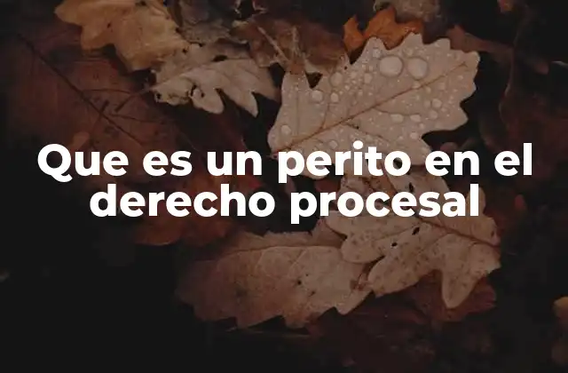 Que es un Perito en el Derecho Procesal