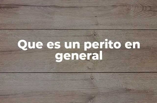 Que es un Perito en General