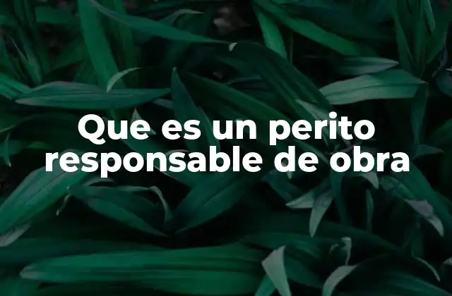 Que es un Perito Responsable de Obra
