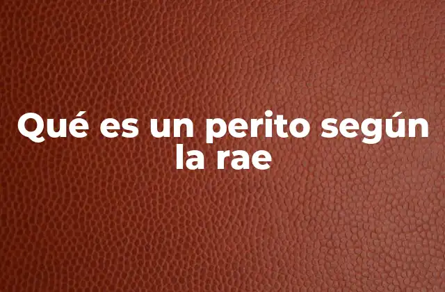 Qué es un Perito según la Rae