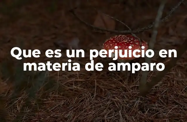 Que es un Perjuicio en Materia de Amparo