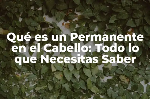 Qué es un Permanente en el Cabello: Todo Lo que Necesitas Saber