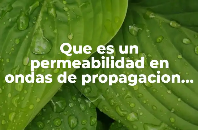 Que es un Permeabilidad en Ondas de Propagacion Planas Uniformes
