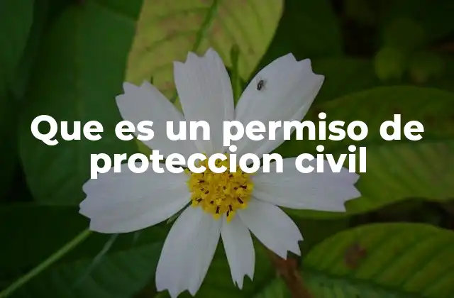 Que es un Permiso de Proteccion Civil