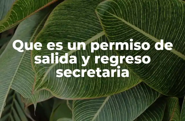 Que es un Permiso de Salida y Regreso Secretaria