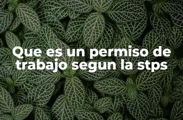 Que es un Permiso de Trabajo Segun la Stps