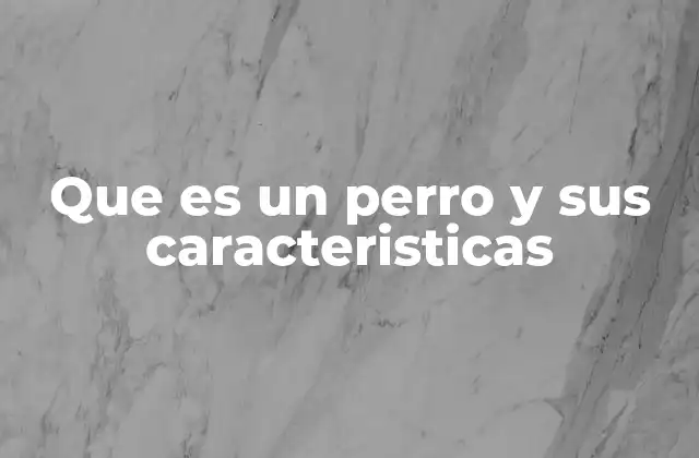Que es un Perro y Sus Caracteristicas