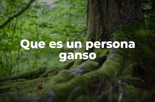 Que es un Persona Ganso