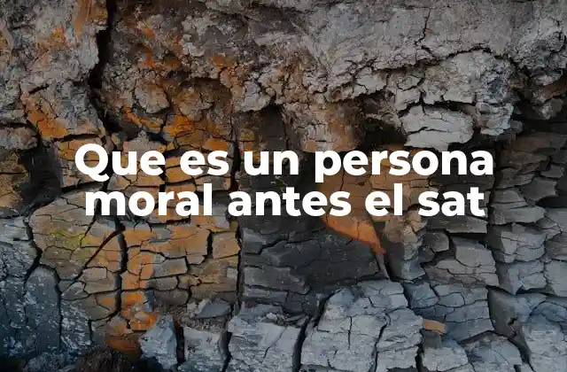 Que es un Persona Moral Antes el Sat