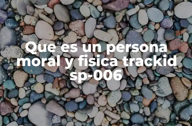 Que es un Persona Moral y Fisica Trackid Sp-006