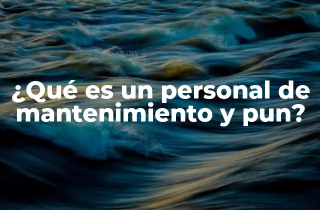 ¿qué es un Personal de Mantenimiento y Pun?