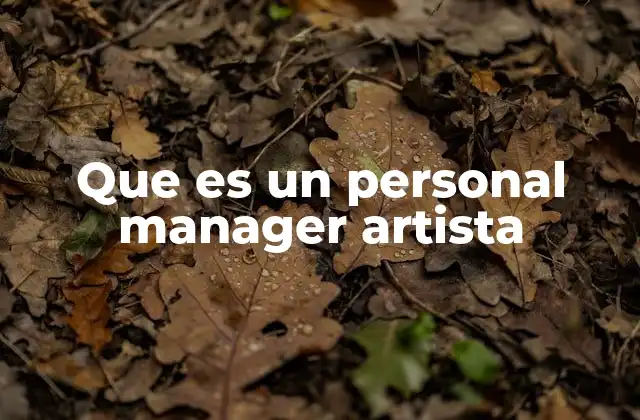 Que es un Personal Manager Artista