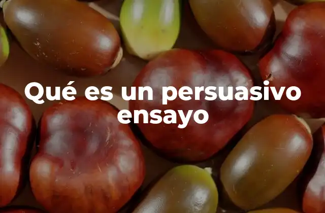 Qué es un Persuasivo Ensayo