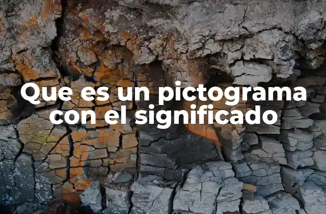 Que es un Pictograma con el Significado