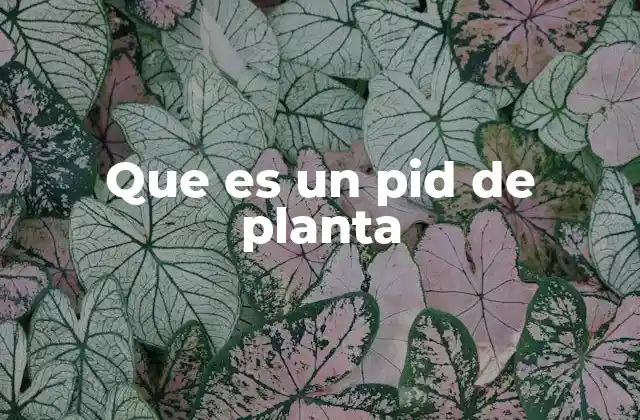 La importancia del control en procesos industriales