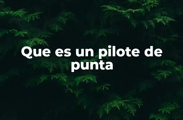Que es un Pilote de Punta