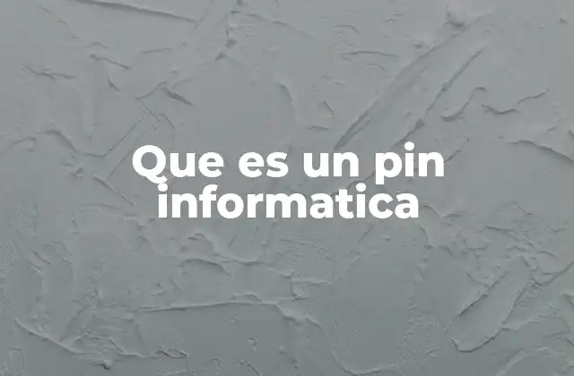 Que es un Pin Informatica
