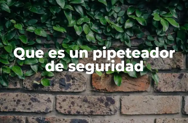 Que es un Pipeteador de Seguridad