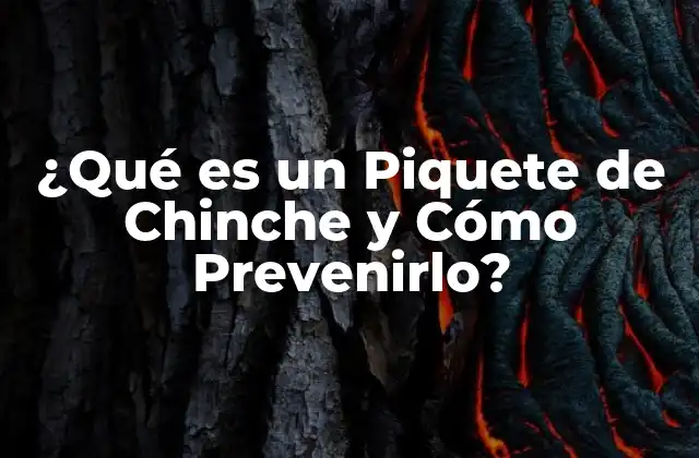 ¿qué es un Piquete de Chinche y Cómo Prevenirlo?