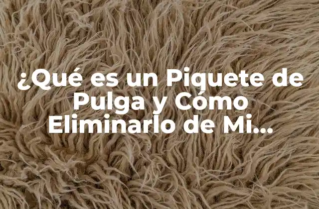 ¿Qué es un Piquete de Pulga?