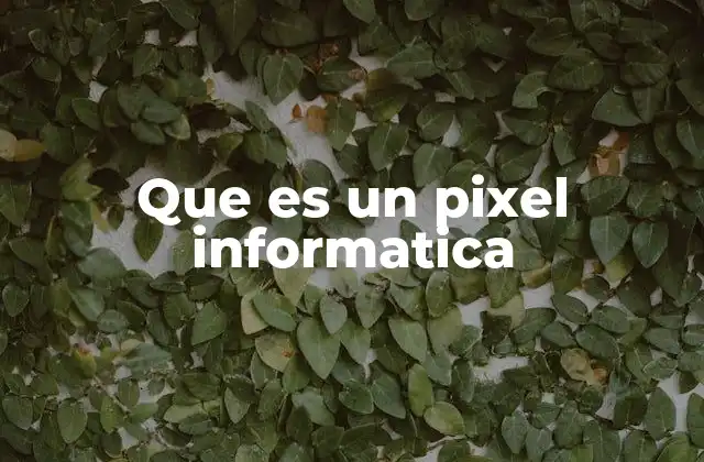Que es un Pixel Informatica