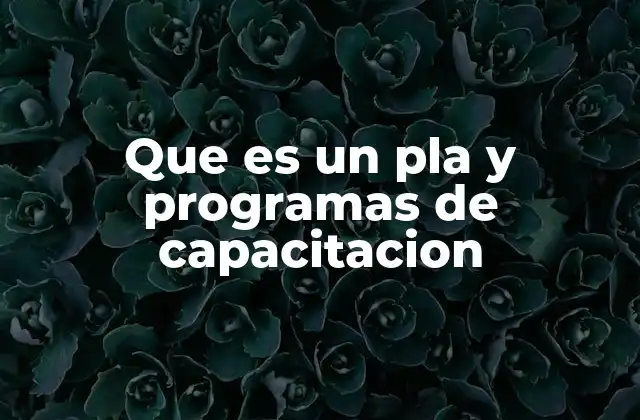 Que es un Pla y Programas de Capacitacion