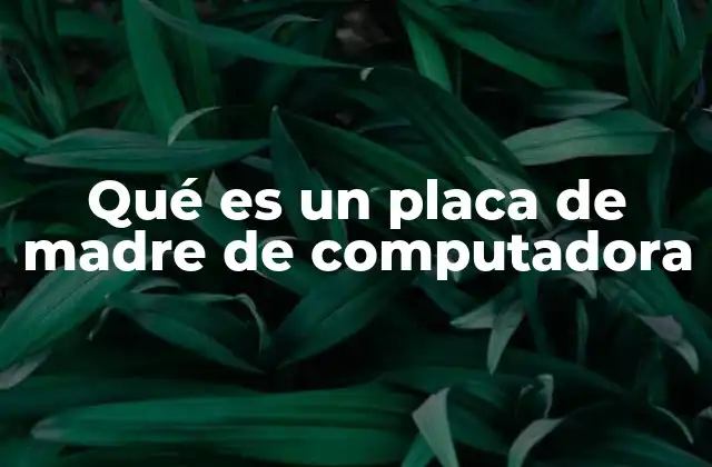Qué es un Placa de Madre de Computadora