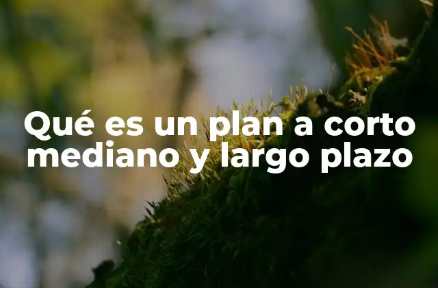 Qué es un Plan a Corto Mediano y Largo Plazo