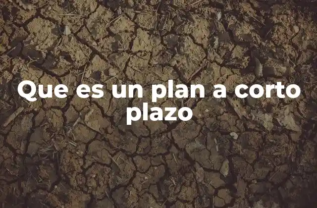Que es un Plan a Corto Plazo