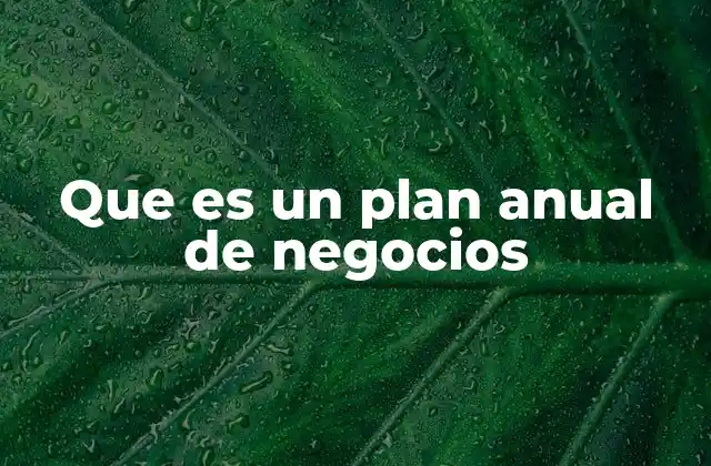 Que es un Plan Anual de Negocios