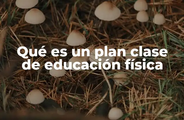 Qué es un Plan Clase de Educación Física