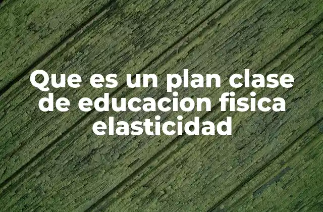 Que es un Plan Clase de Educacion Fisica Elasticidad