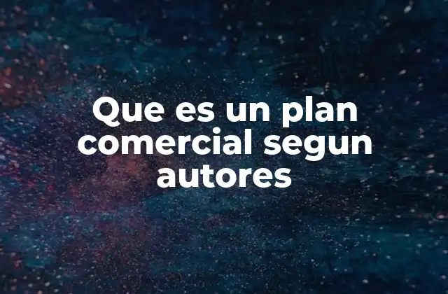 Que es un Plan Comercial Segun Autores