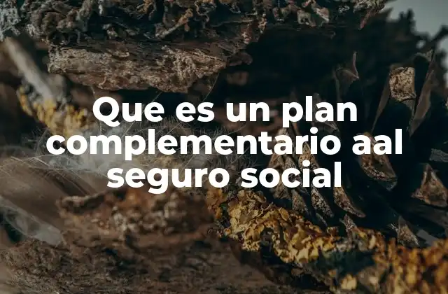 Que es un Plan Complementario Aal Seguro Social