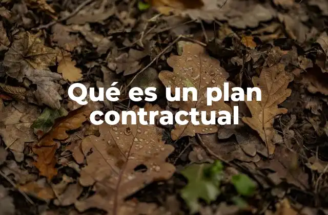 Qué es un Plan Contractual