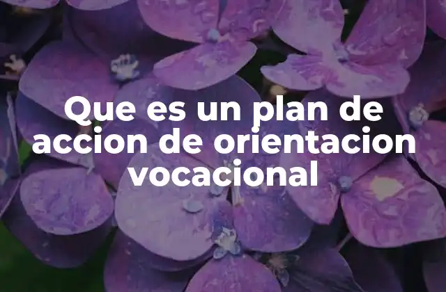 Que es un Plan de Accion de Orientacion Vocacional 2 La importancia de la planificación vocacional en el desarrollo personal