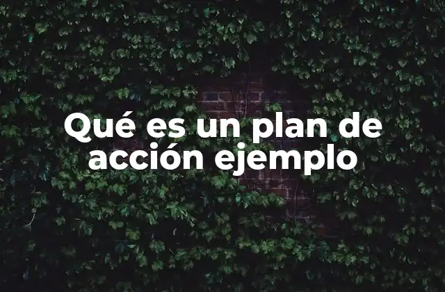 Qué es un Plan de Acción Ejemplo