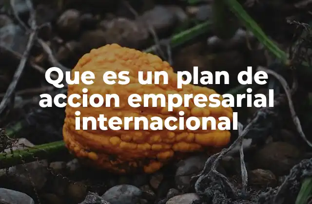 Que es un Plan de Accion Empresarial Internacional
