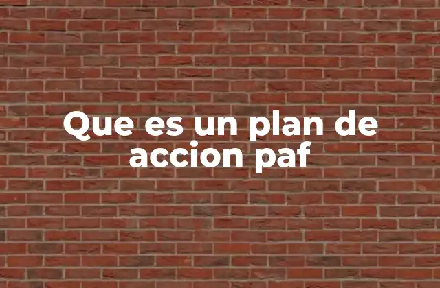 Que es un Plan de Accion Paf