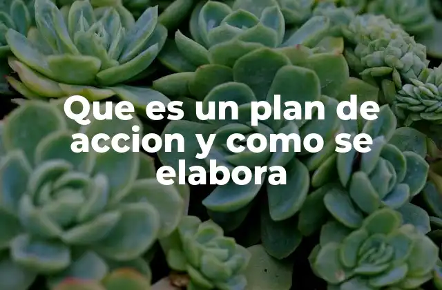 Que es un Plan de Accion y como Se Elabora