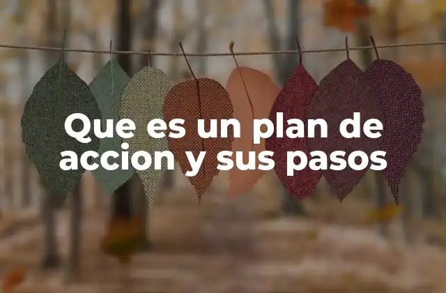 Que es un Plan de Accion y Sus Pasos